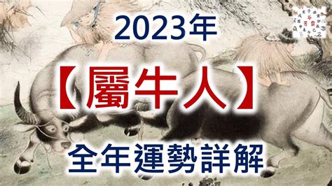 2023年屬